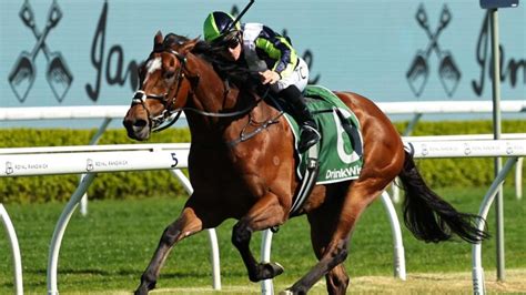 Kingston Town Stakes Tips, Betting Odds, Past Winners and Results.